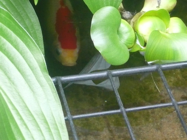 e0026017_1612516.jpg