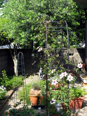 f0185619_11202272.jpg