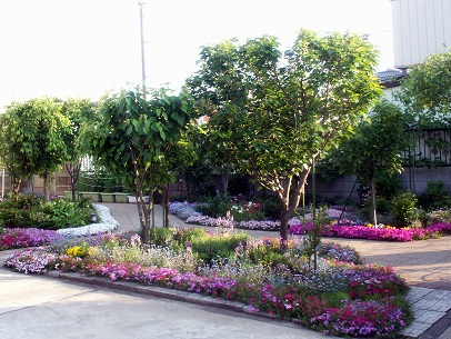 a0053420_15442941.jpg