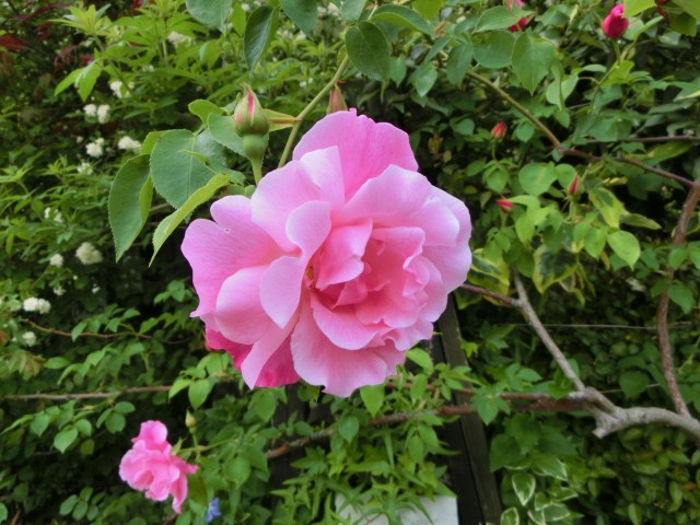 c0204121_22292945.jpg