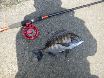 f0031423_765475.jpg