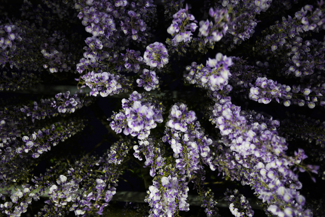 e0200926_1318787.jpg