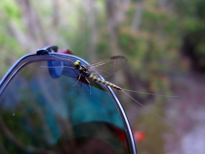 f0103126_2121362.jpg