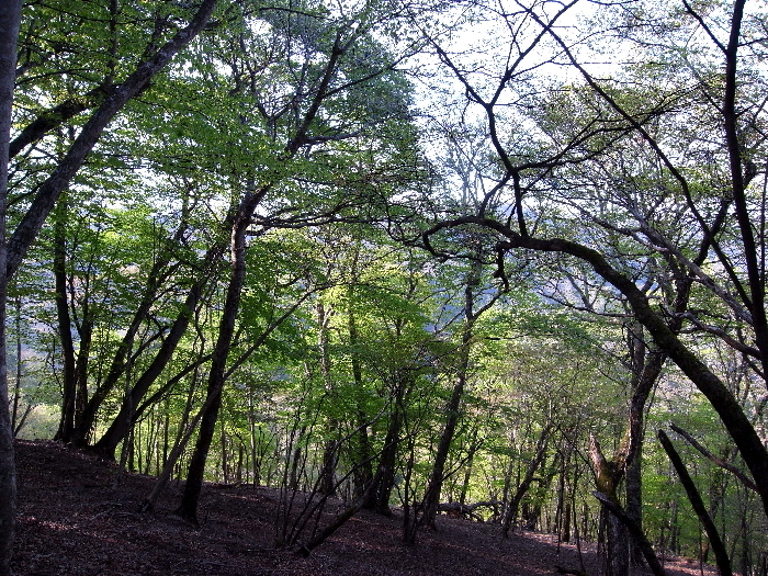 f0103126_21244714.jpg