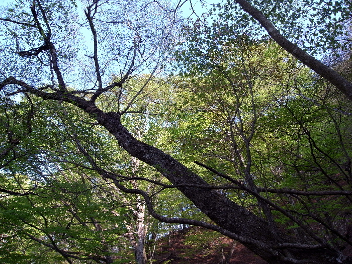 f0103126_2124633.jpg