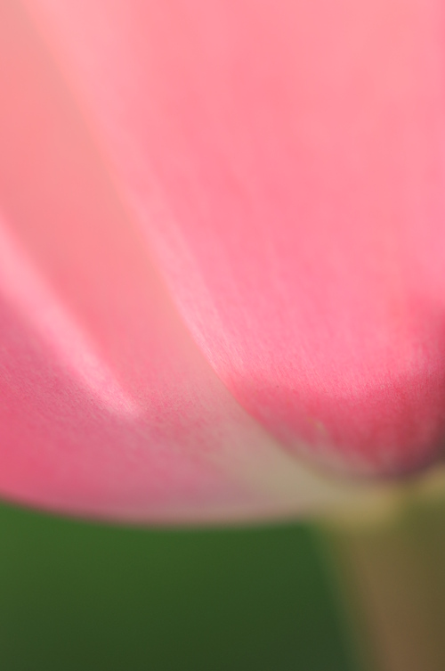 a0248728_18324549.jpg