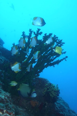 b0100730_20425721.jpg