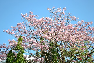 b0116933_2252626.jpg
