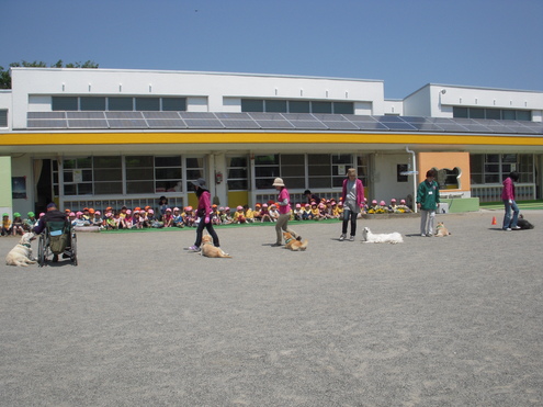 c0114833_751268.jpg