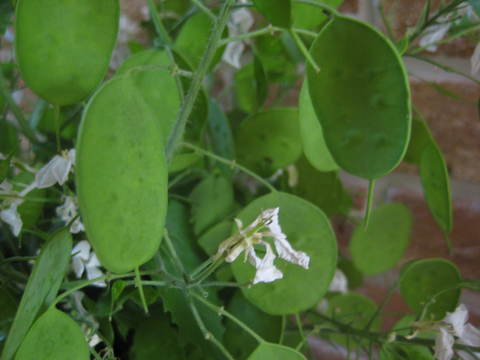 f0061334_2354875.jpg