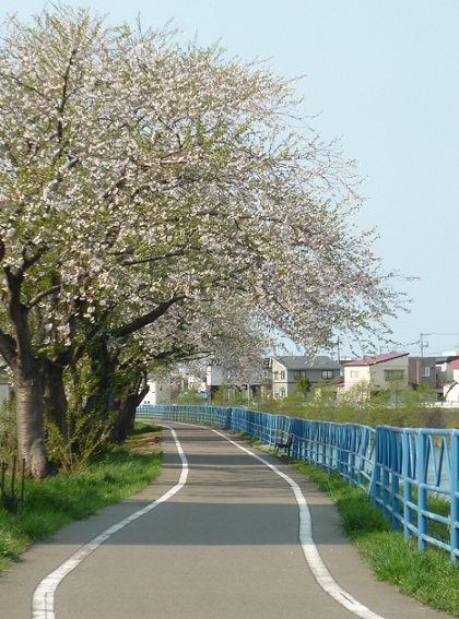 c0249836_1625274.jpg