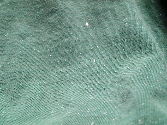 c0177238_18314894.jpg