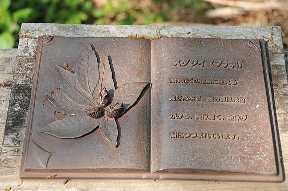 f0094843_20513861.jpg