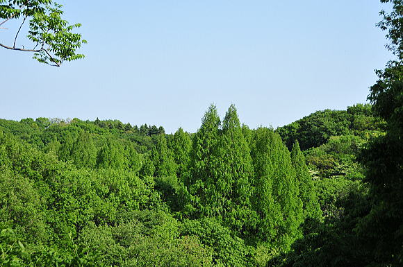 f0094843_2052209.jpg
