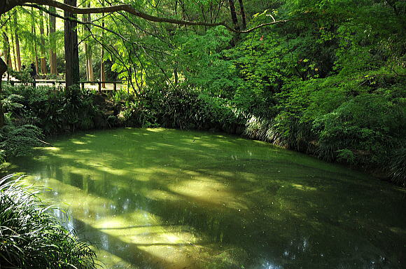 f0094843_2192687.jpg