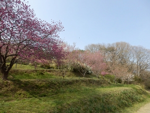 d0151144_11523290.jpg
