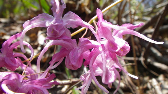 c0042847_13482697.jpg