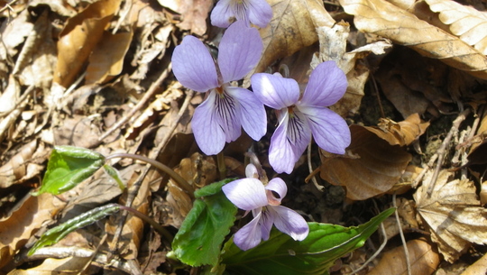 c0042847_13485342.jpg