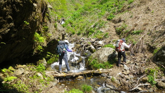 c0042847_13491116.jpg