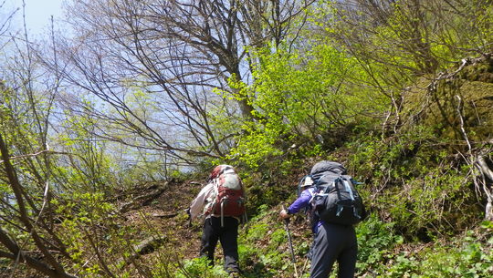 c0042847_1355653.jpg