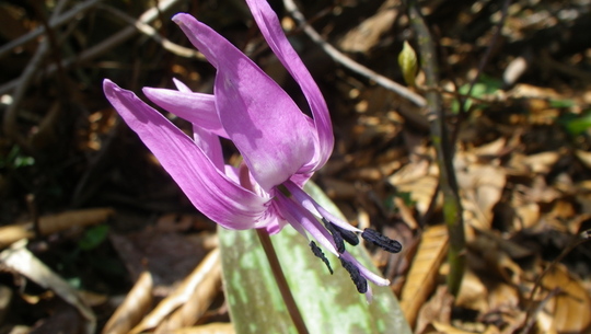 c0042847_13565022.jpg