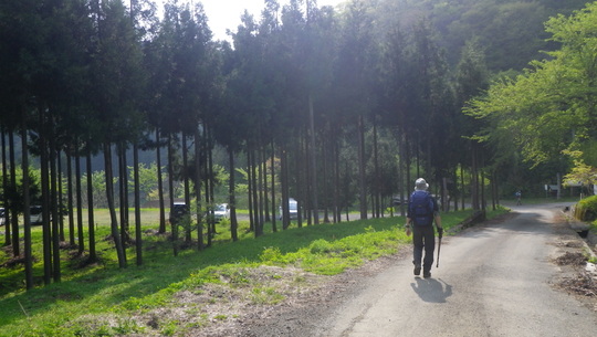 c0042847_147364.jpg