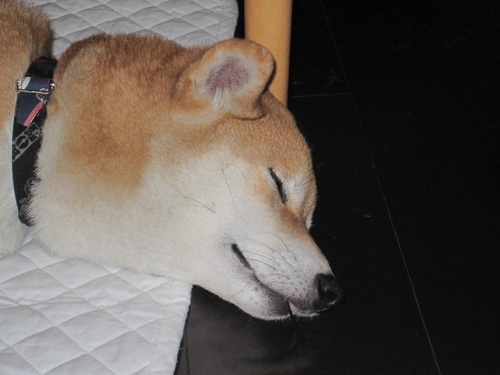 f0245650_11532440.jpg