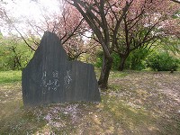 c0208355_20314011.jpg