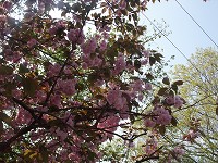c0208355_20322262.jpg