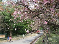 c0208355_2040098.jpg