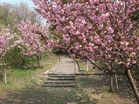 c0208355_204269.jpg