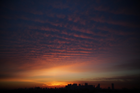 f0214858_2127991.jpg