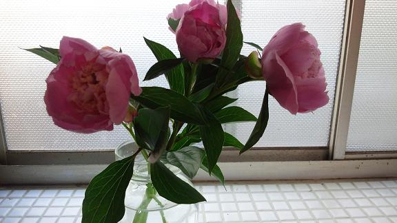 c0172261_9431439.jpg