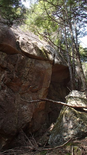 b0050067_1215886.jpg