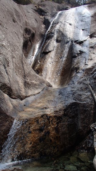 b0050067_19022.jpg