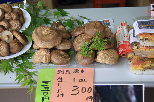f0207669_11131559.jpg