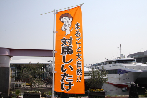 f0207669_11135095.jpg