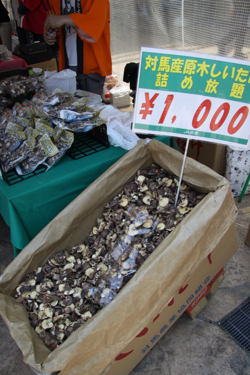 f0207669_11142912.jpg