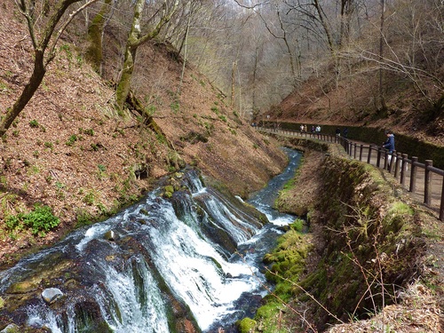 e0207477_1483426.jpg