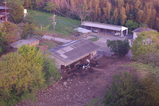 c0182782_11205881.jpg