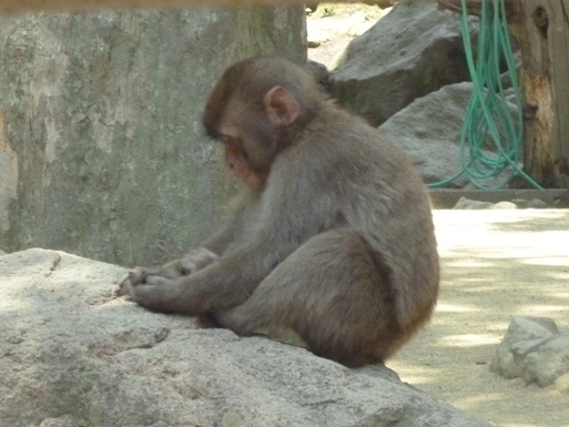 c0182782_127443.jpg