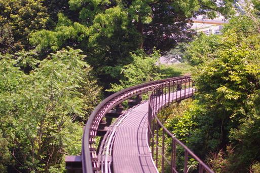 c0182782_1292515.jpg