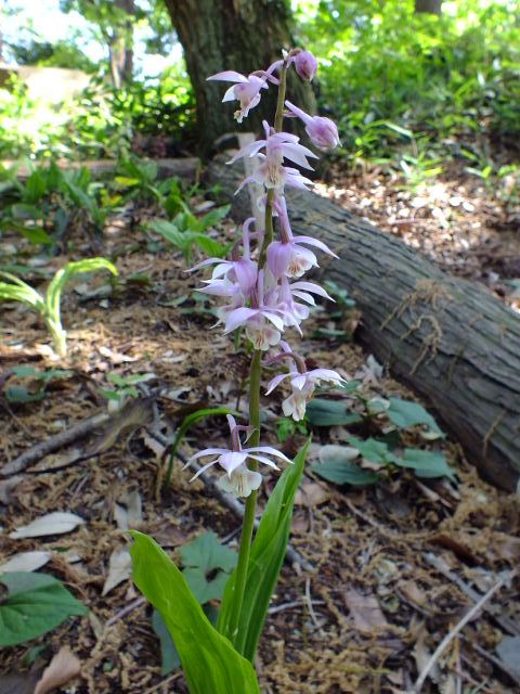 e0145782_2148388.jpg