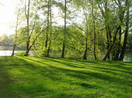 a0247585_5305763.jpg