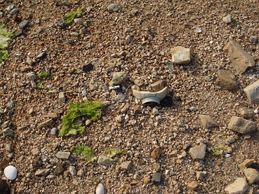 e0060485_02393.jpg