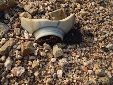 e0060485_025692.jpg