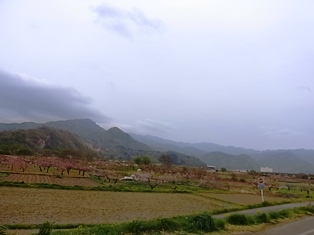 a0258087_1146528.jpg