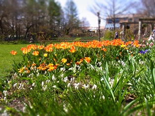 a0258087_12362451.jpg