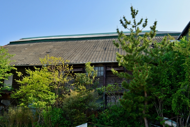 f0103688_155906.jpg
