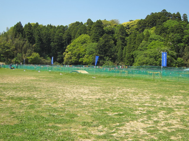 d0098295_221254.jpg
